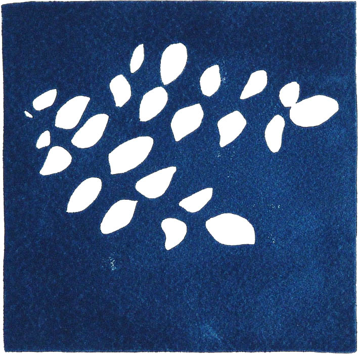 Agnes Keil, leaves, 13 x 13cm, 2001